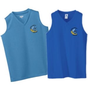 Picture of BS - Ladies' V-Neck 