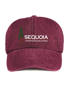 Picture of SEQ - Garment Washed Cap